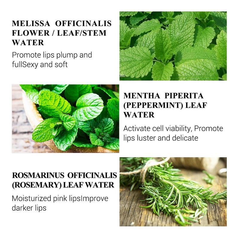 LANBENA Lip Treatments Plumper Serum Boost Elasticity for Repair Comfort Lip Plumper Lip Care